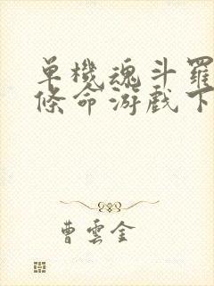 单机魂斗罗30条命游戏下载安卓版