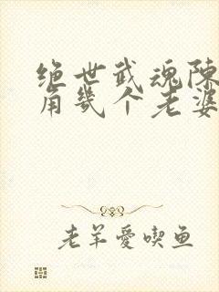 绝世武魂陈枫主角几个老婆