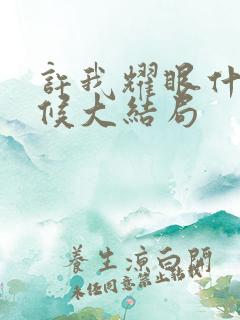 许我耀眼什么时候大结局