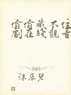 偷偷藏不住电视剧在线观看免费全集