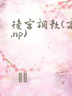 后宫调教(高h,np)