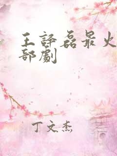 王译磊最火的三部剧