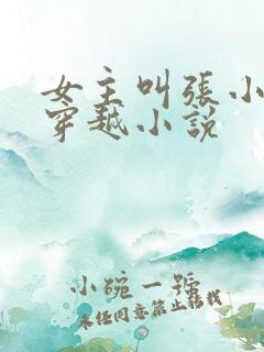 女主叫张小婉的穿越小说