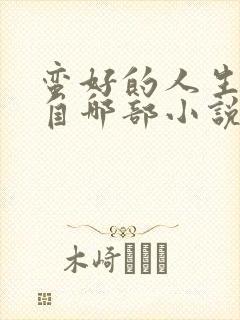 蛮好的人生改编自哪部小说