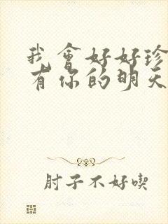 我会好好珍惜没有你的明天是什么歌