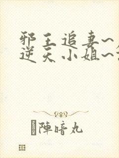 邪王追妻~废材逆天小姐~误惹妖孽王爷