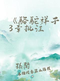 《骆驼祥子》13章批注