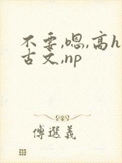 不要,嗯,高h古文,np