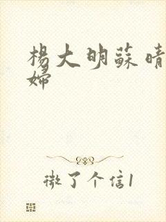 杨大明苏晴儿媳妇