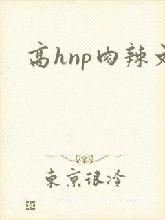 高hnp肉辣文