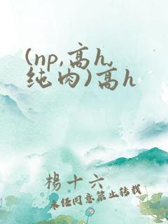 (np,高h,纯肉)高h