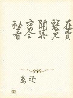 秘密关系在线观看全集免费高清