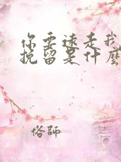 你要远走我无法挽留是什么歌