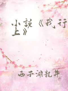 小说《我行让我上》