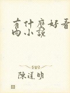 有什么好看的肉肉小说