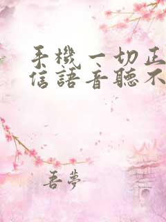 手机一切正常微信语音听不见声音