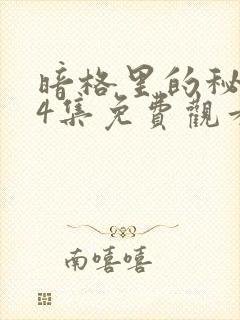 暗格里的秘密24集免费观看