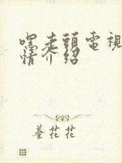 嘿老头电视剧剧情介绍