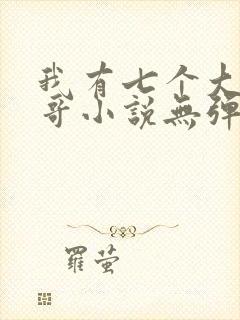 我有七个大佬哥哥小说无弹窗