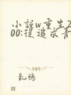 小说w重生2000:从追求青涩校花同桌开始》