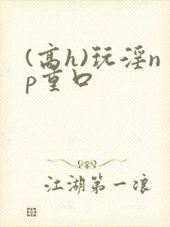 (高h)玩淫np重口
