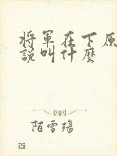 将军在下原著小说叫什么