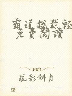 霸道总裁轻轻爱 免费阅读