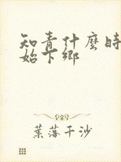 知青什么时候开始下乡