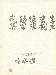 我的绝密生涯全集电视剧免费观看