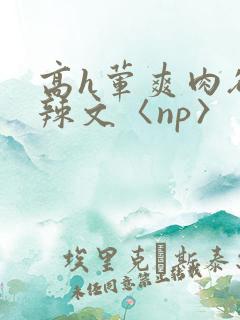 高h荤爽肉欲文辣文〈np〉