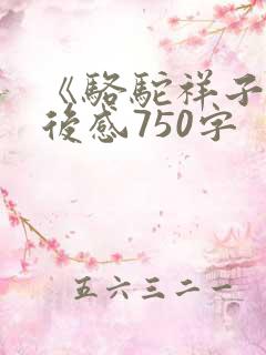 《骆驼祥子》读后感750字