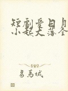 短剧爱日月蹉跎小起大落全集