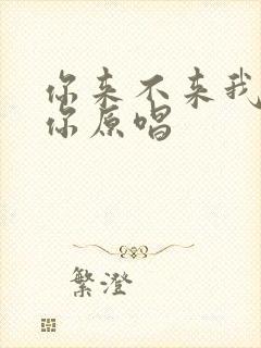 你来不来我都等你原唱