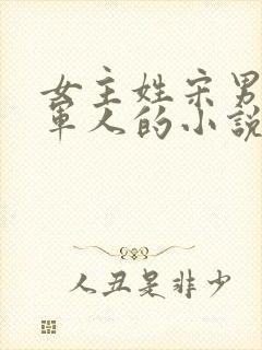 女主姓宋男主是军人的小说
