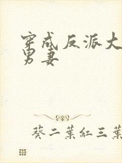 穿成反派大佬的男妻