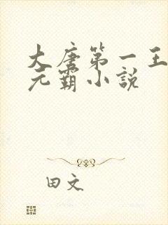 大唐第一王爷李元霸小说