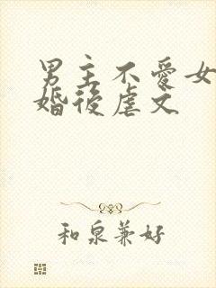 男主不爱女主的婚后虐文