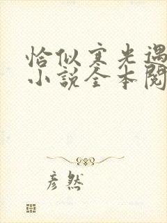 恰似寒光遇骄阳小说全本阅读