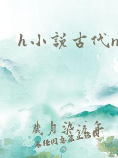h小说古代np