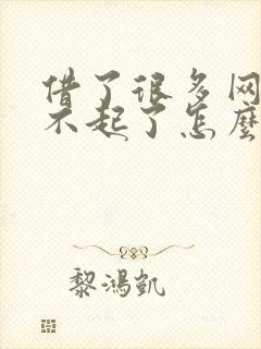 借了很多网贷还不起了怎么办