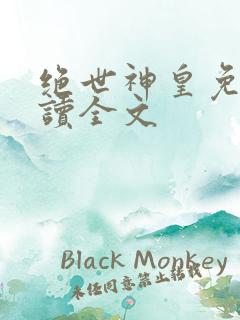 绝世神皇免费阅读全文