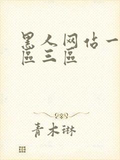 黑人网站一区二区三区
