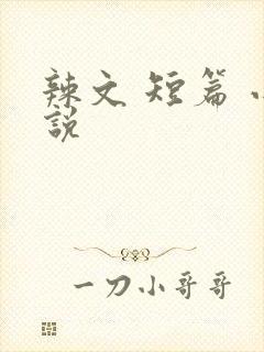 辣文 短篇 小说