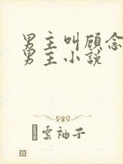 男主叫顾念的双男主小说