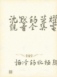 沈默的荣耀免费观看全集电视剧高清