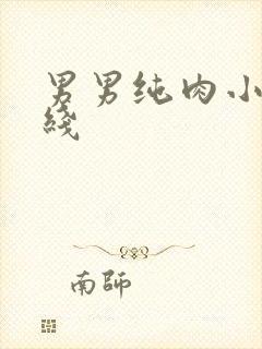 男男纯肉小说在线
