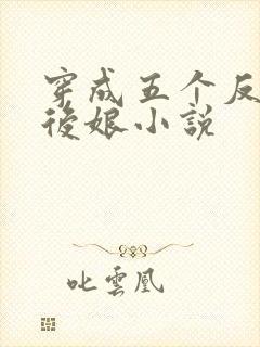 穿成五个反派的后娘小说