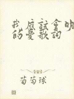 我应该会明白你的爱歌词