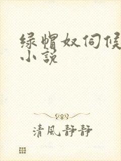 绿帽奴伺候情夫小说