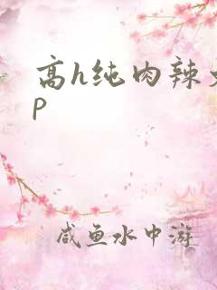 高h纯肉辣文np